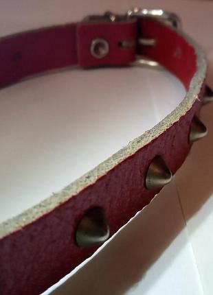 Ошейник кожаный с шипами