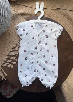 Мусліновий пісочник