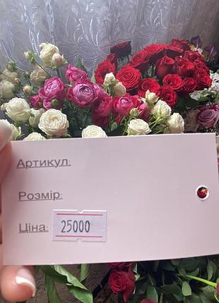 Весільна сукня ariella колекція 2024 року