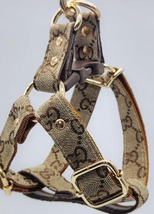 Амуниция / шлея / поводок для собаки в стиле gucci