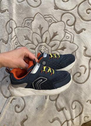 Geox 5