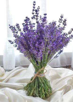 Букет свіжо зрізаної лаванди