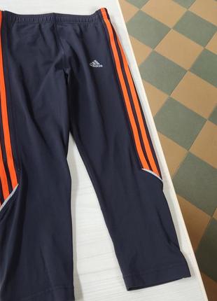 Бріджі спортивні adidas