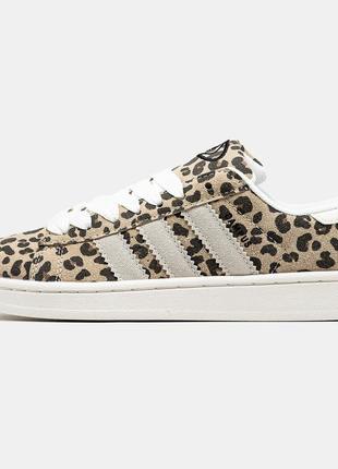 Кросівки adidas сampus leopard