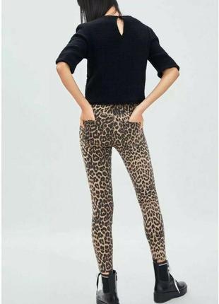 Леопардовые джинсы zara