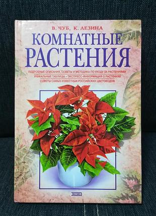 Чуб, лещина " комнатные растения".