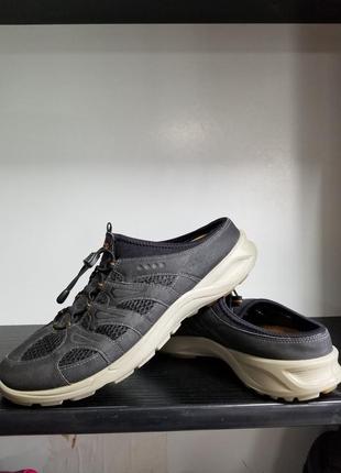 Ecco 2
