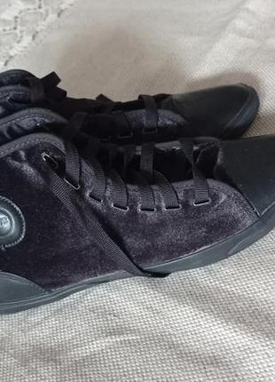 Кеды. lacoste. бренд.