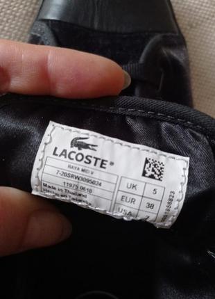 Кеды. lacoste. бренд.10 фото