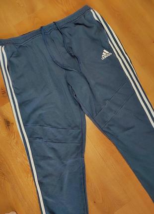 Брюки брюки мужские спортивные трикотают синие adidas man, размер 2xl