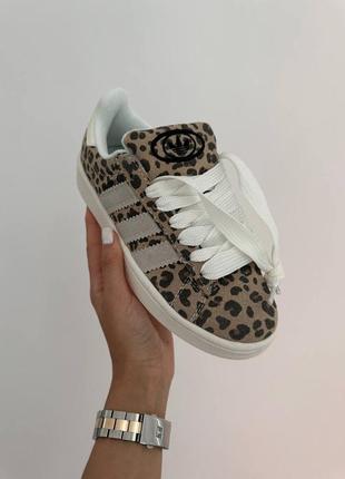 Жіночі кросівки adidas campus leopard premium