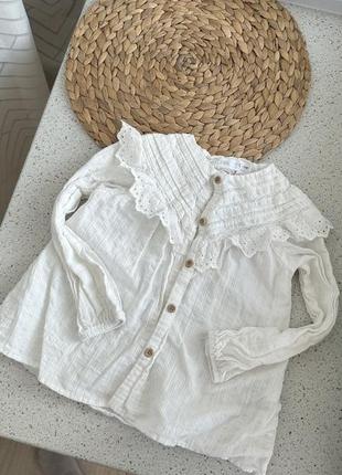 Блуза zara 4-5 года 2