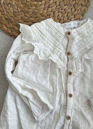 Блуза zara 4-5 года 3