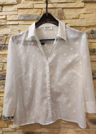 Блуза / сорочка kaliko