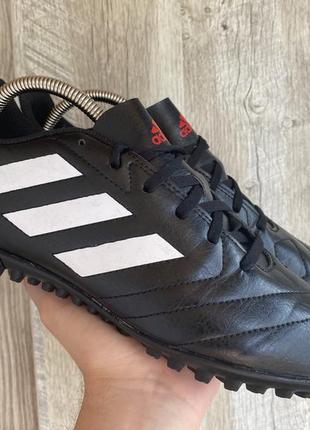 Adidas copa ripley sale