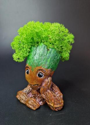 Стабілізований мох ягель кашпо грут грут особливий подарунок декор для дому...