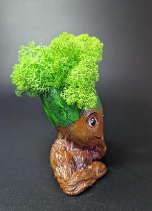 Стабілізований мох ягель кашпо грут грут особливий подарунок декор для дому...