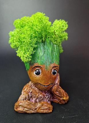 Стабілізований мох ягель кашпо грут грут особливий подарунок декор для дому...