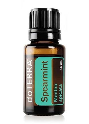 Spearmint oil | ефірна олія садової м'яти, 15 мл
