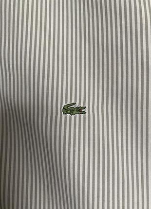 Lacoste чоловіча сорочка, рубашка, рубашка в полоску, сорочка slim fit3 фото