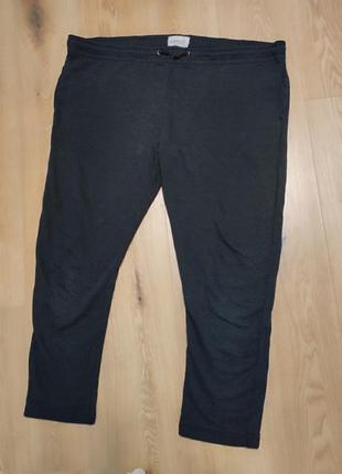 Брюки брюки мужские спортивные серые slim cedar wood state man, размер 2xl 3xl 4xl