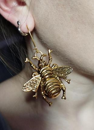 Сережки шміль, прекрасна деталізація, бджола, комаха, шмелі, сережки