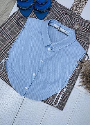 Смугаста манішка s m сорочка класична