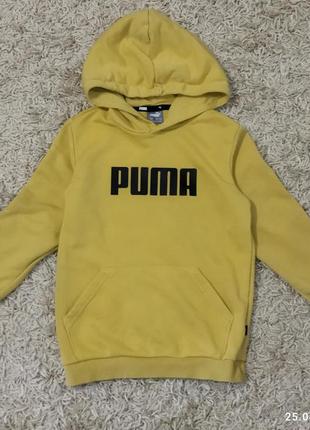 Толстовка puma original