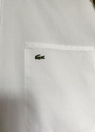 Lacoste чоловіча сорочка. рубашка, нарядная рубашка, белая рубашка3 фото