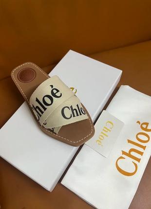 Шикарные брендовые шлепанцы на лето