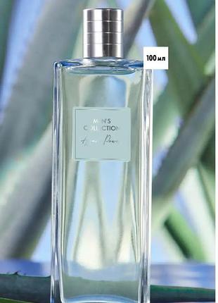 Туалетна вода men's collection agave power 100 ml