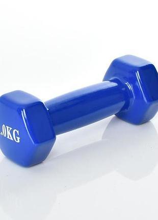 Гантель із вініловим покриттям, 1кг, синій, пак. 14*6*5см (20шт)