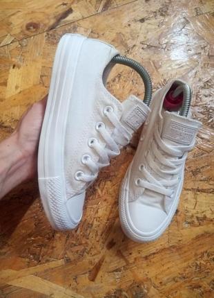 Кеди кєди converse all star