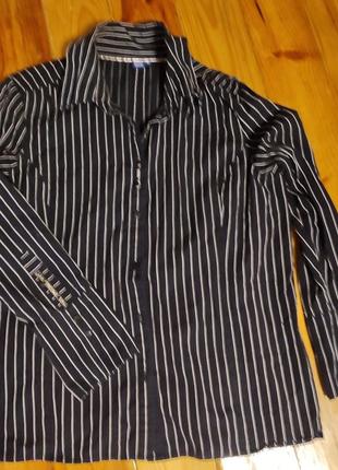 Жіноча сорочка блуза,смужка,котон,cecil