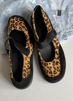 Взуття hotter з леопардовим принтом