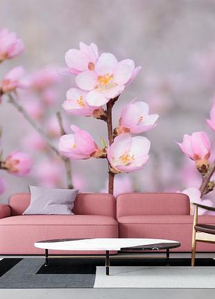 Плівка oracal для декору спальні, залу, кухні "квіти сакури"