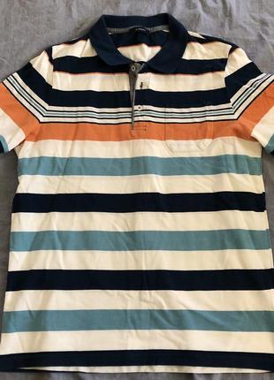 Поло чоловіче