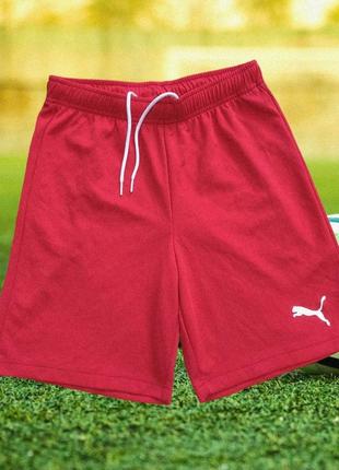 Спортивные шорты puma