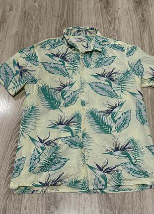 Гавайська сорочка
