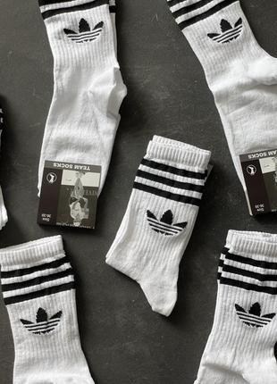 Шкарпетки adidas носки adidas