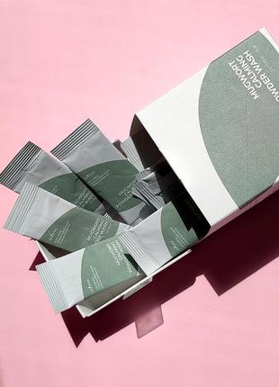 Пудра ензимна з екстрактом полину isntree mugwort calming powder wash 1 г