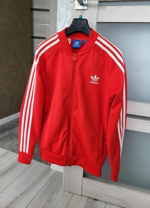 Бомбер adidas