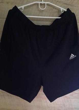 Шорти adidas xl