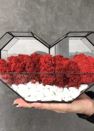 Моссаріум серце зі стабілізованним мохом minature moss 25см червоний