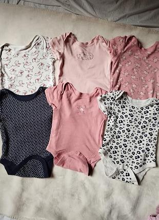 Бодики primark