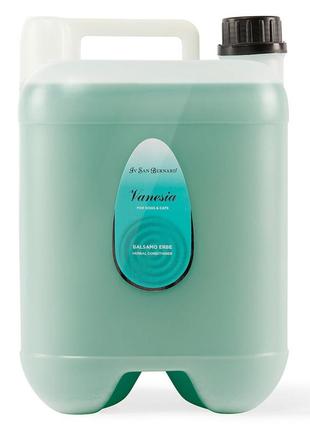 Кондиціонер iv san bernard herb ,трав'яний освіжаючий для всіх типів шерсті котів і собак, 5л