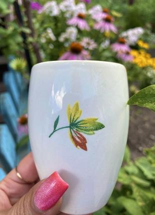 Румяна, хайлайтер marie dalgar