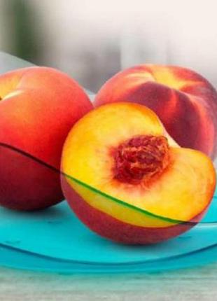 Сервірувальний кошик "елегантність" бірюзовий tupperware