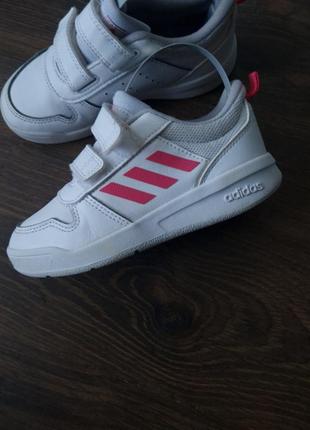 Кроссовки, кроссовки adidas