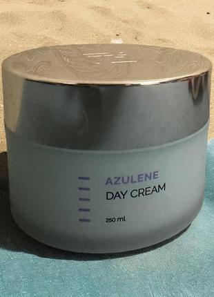 Крем від holy land “azulene day cream”